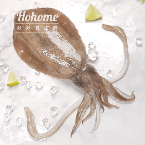 5A生食規格軟絲(300g)